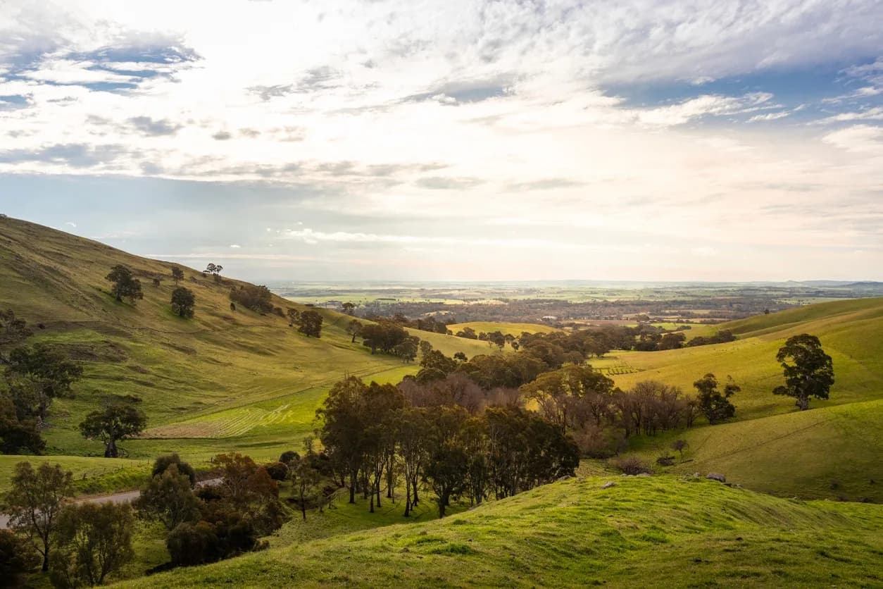 Green rolling hills and scattered trees beneath a cloudy sky
